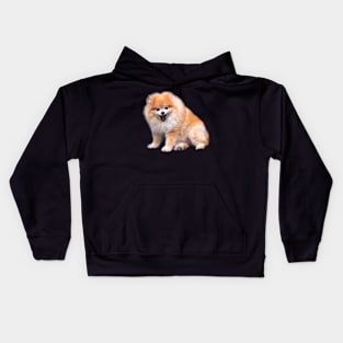 Cute Laughing Pomeranian Dog Kids Hoodie